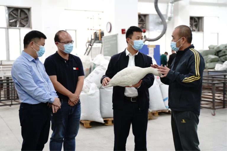 政企携手，共筑辉煌
